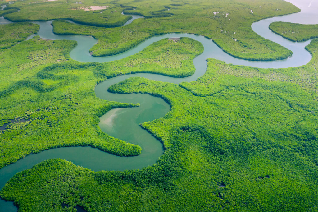 Foto aérea do Rio Amazonas