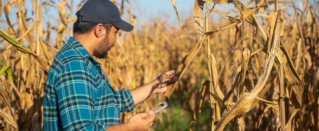 Trabalhador rural ouvindo rádio pelo celular
