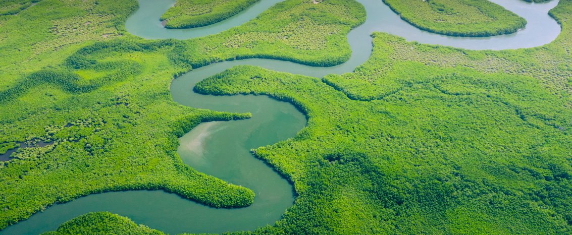 Foto aérea do Rio Amazonas