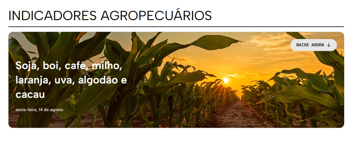 Indicadores